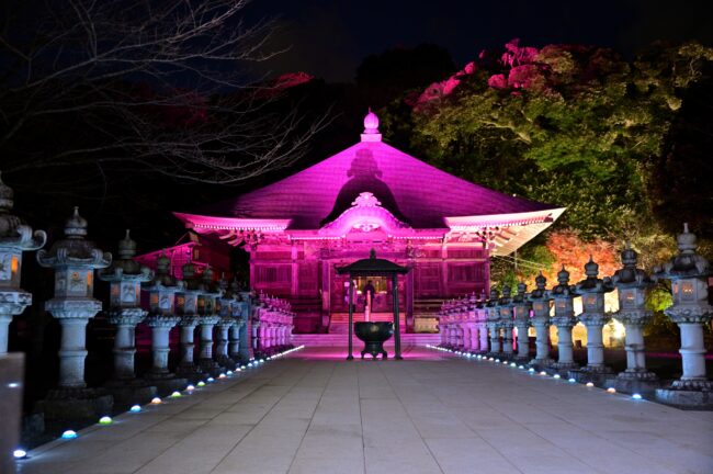 飯山観音長谷寺のライトアップの写真