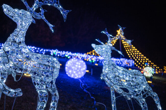 ぼうさいの丘公園のイルミネーションの写真