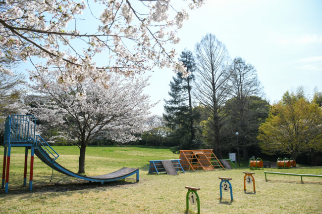 岩田山公園の桜の写真