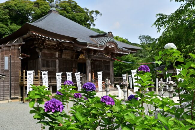 飯山観音長谷寺のアジサイの写真