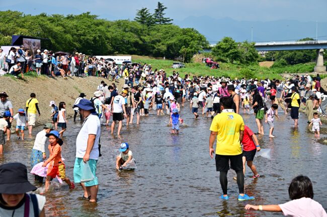 第79回あつぎ鮎まつりのこども鮎つかみどりの写真