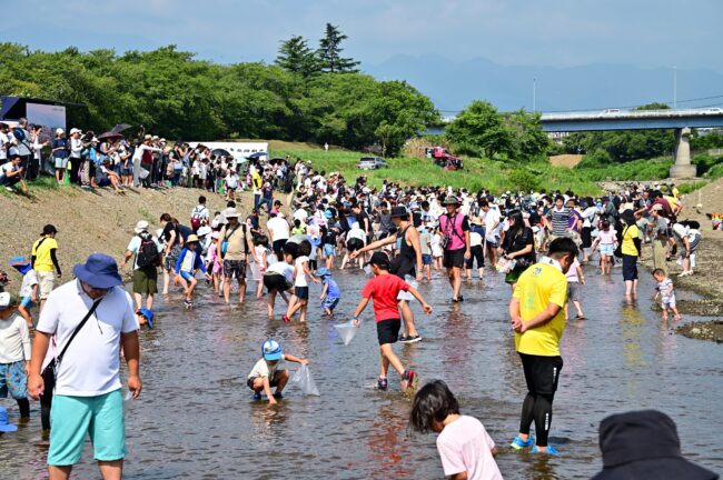 第79回あつぎ鮎まつりのこども鮎つかみどりの写真
