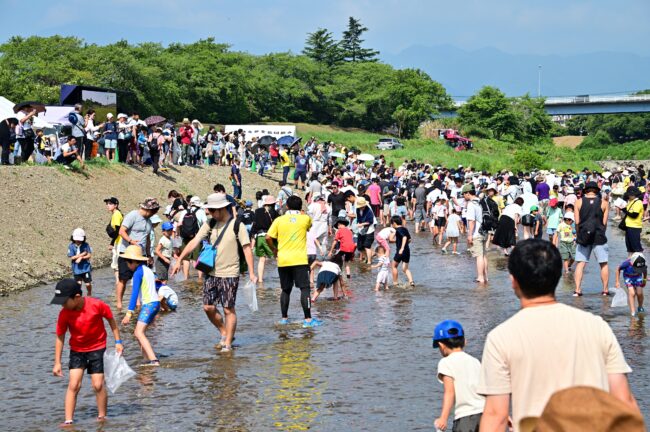 第79回あつぎ鮎まつりのこども鮎つかみどりの写真