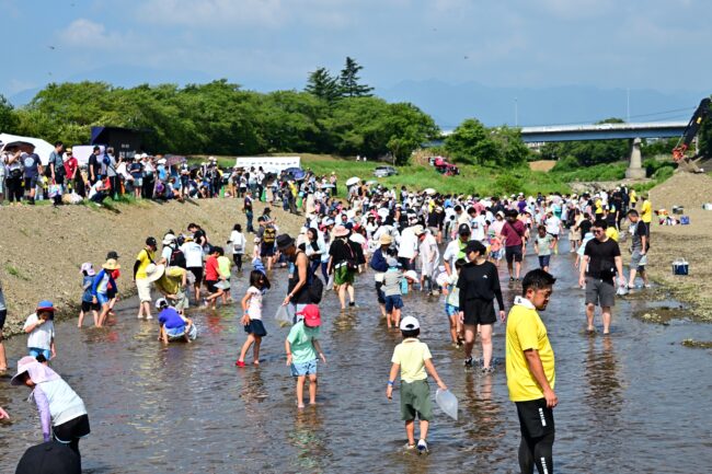 第79回あつぎ鮎まつりのこども鮎つかみどりの写真
