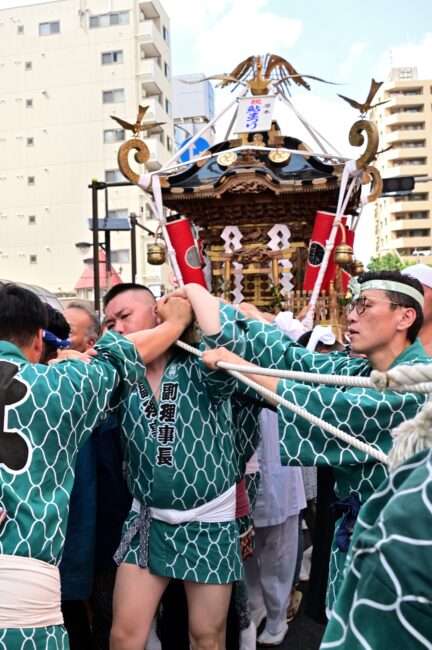 第79回あつぎ鮎まつりのみこしショーの写真