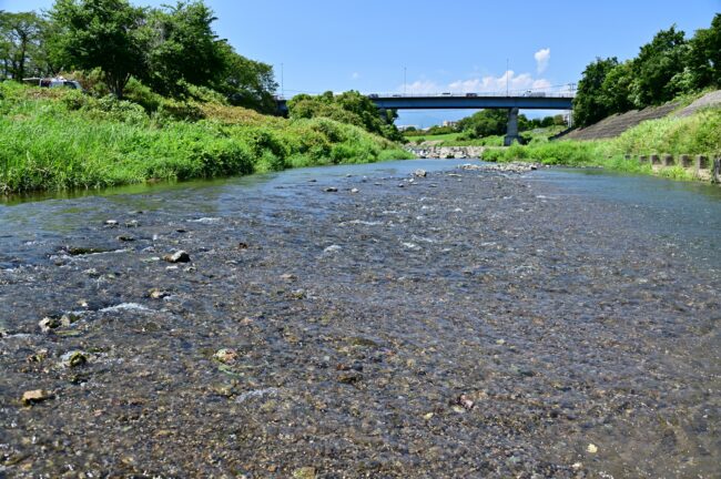 相模川三川合流点周辺の小鮎川の写真