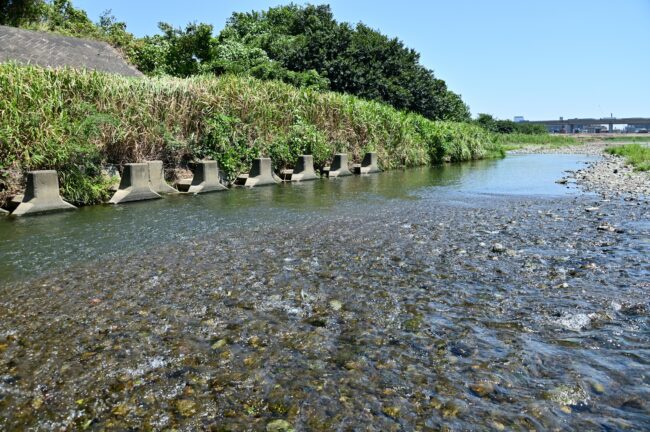 相模川三川合流点周辺の小鮎川の写真