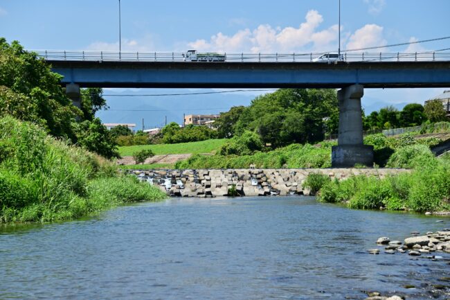 相模川三川合流点周辺の小鮎川の写真