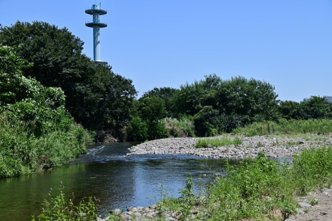 相模川三川合流点周辺の小鮎川の写真