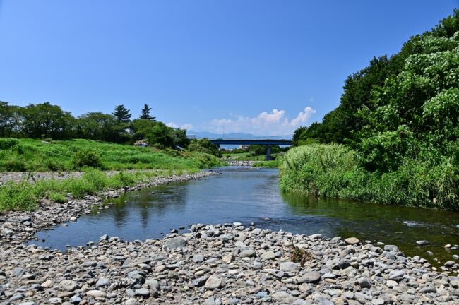 相模川三川合流点周辺の小鮎川の写真