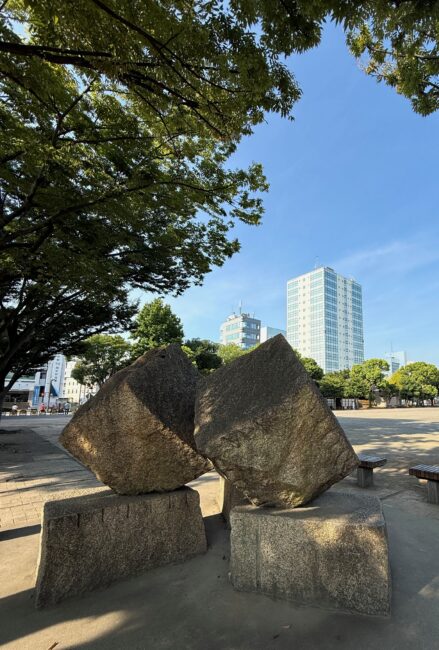 厚木中央公園の写真