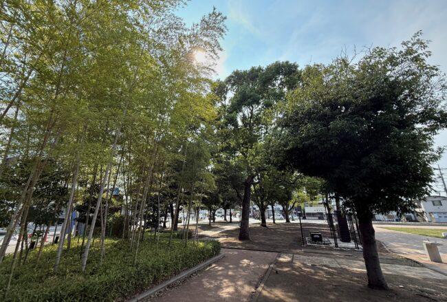 厚木中央公園の写真