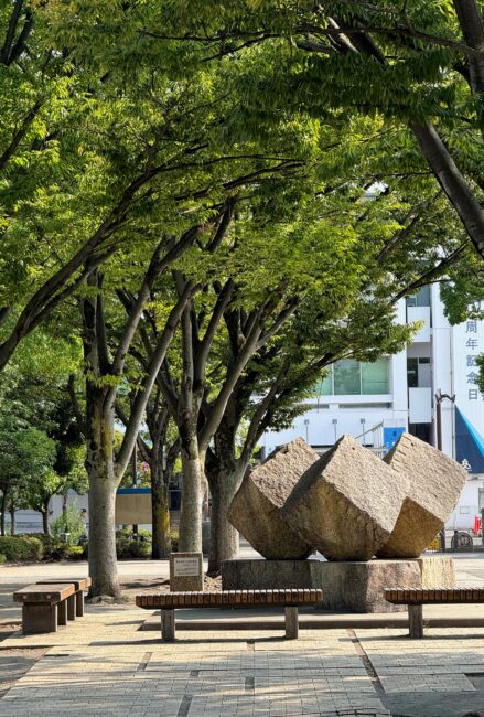 厚木中央公園の写真
