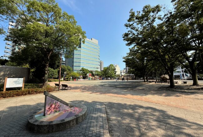 厚木中央公園の写真