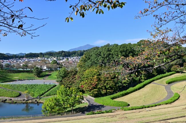 若宮公園の写真