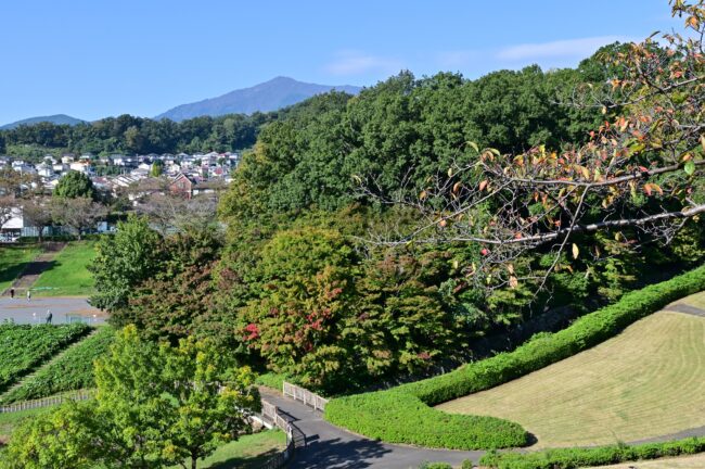 若宮公園の写真