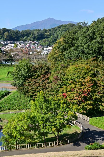 若宮公園の写真