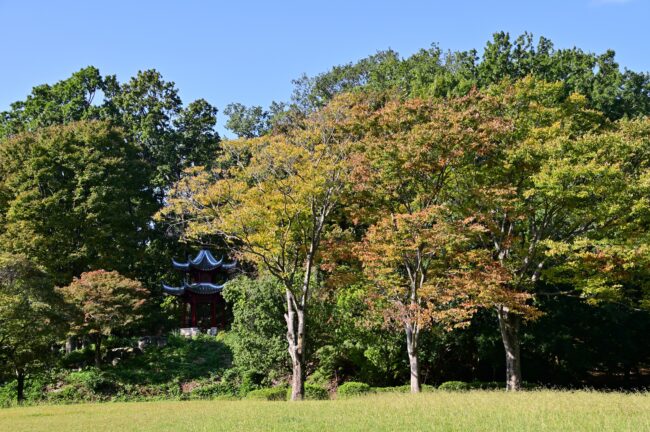 若宮公園の写真
