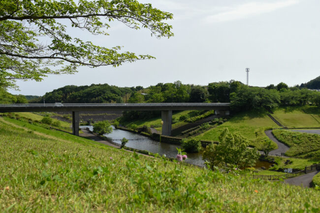 若宮公園の新緑の写真