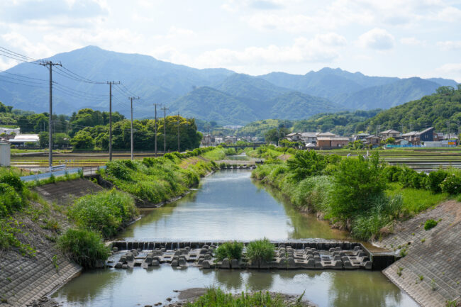 七沢の玉川の写真