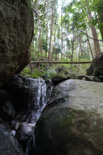 七沢の亀石の写真