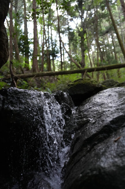 七沢の亀石の写真