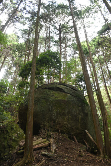 七沢の亀石の写真