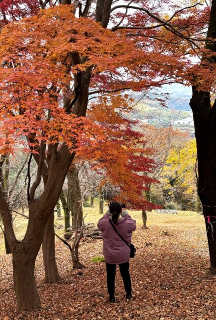 飯山白山森林公園の紅葉の写真