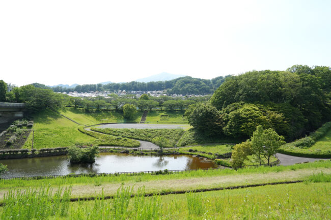若宮公園の新緑の写真