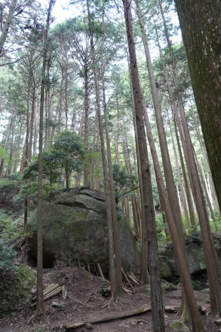七沢の亀石の写真
