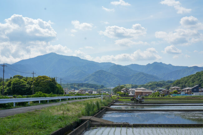 七沢の玉川の写真