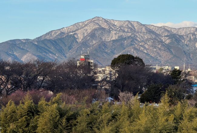 雪の大山の写真