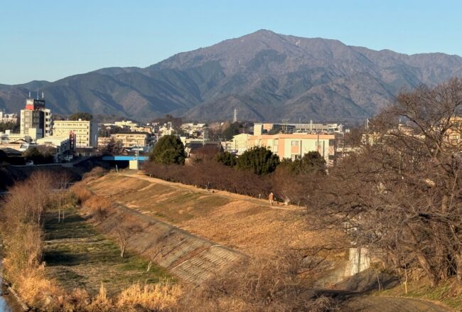 鮎津橋バス停付近から見た大山の写真