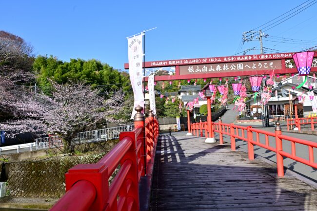 庫裡橋周辺のサクラの写真