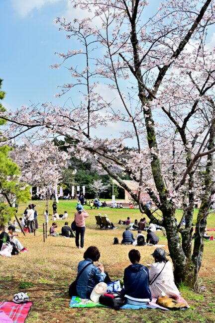あつぎ飯山桜まつりの写真