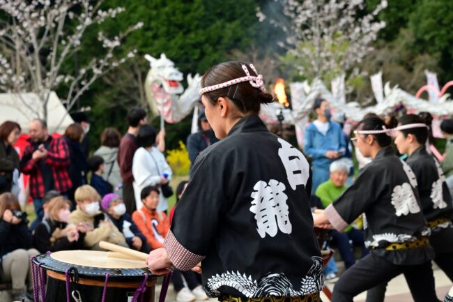 あつぎ飯山桜まつりの飯山白龍太鼓の写真