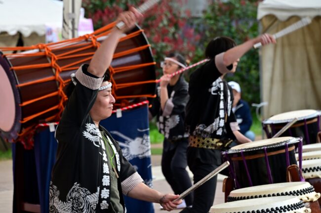 あつぎ飯山桜まつりの飯山白龍太鼓の写真