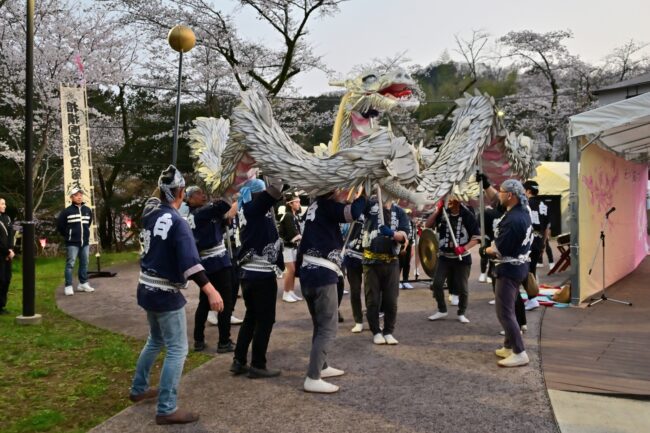 あつぎ飯山桜まつりの白龍の舞の写真