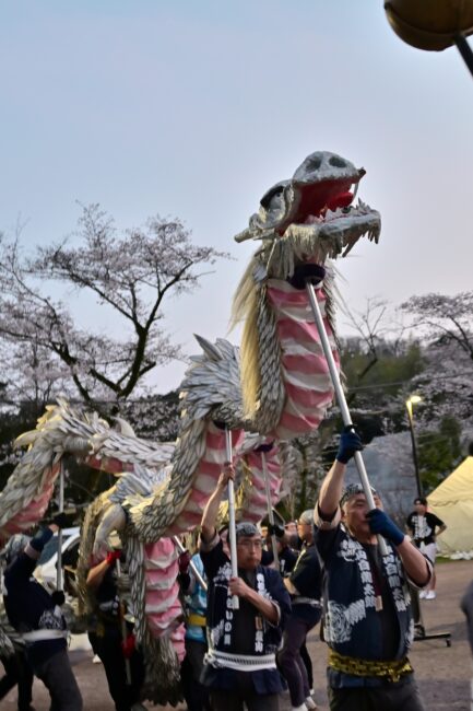 あつぎ飯山桜まつりの白龍の舞の写真