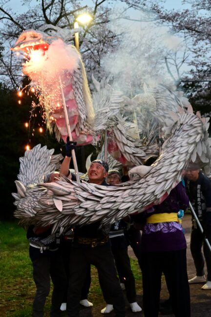 あつぎ飯山桜まつりの白龍の舞の写真