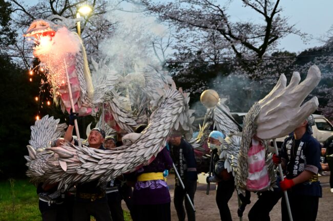 あつぎ飯山桜まつりの白龍の舞の写真