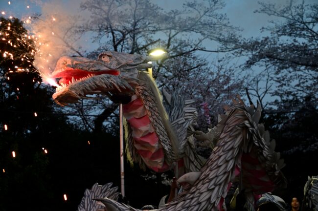 あつぎ飯山桜まつりの白龍の舞の写真