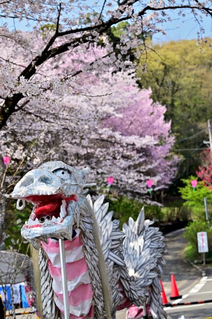 あつぎ飯山桜まつりの写真