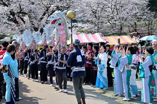 あつぎ飯山桜まつりの白龍の舞の写真
