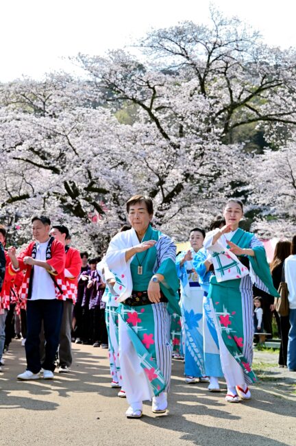 あつぎ飯山桜まつりの花音頭の写真