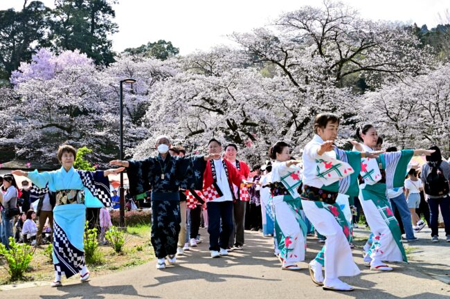 あつぎ飯山桜まつりの花音頭の写真