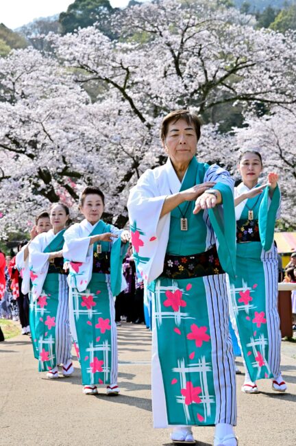 あつぎ飯山桜まつりの花音頭の写真