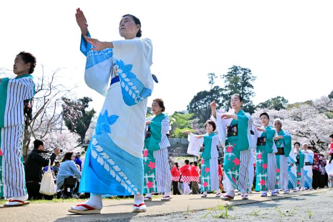あつぎ飯山桜まつりの花音頭の写真