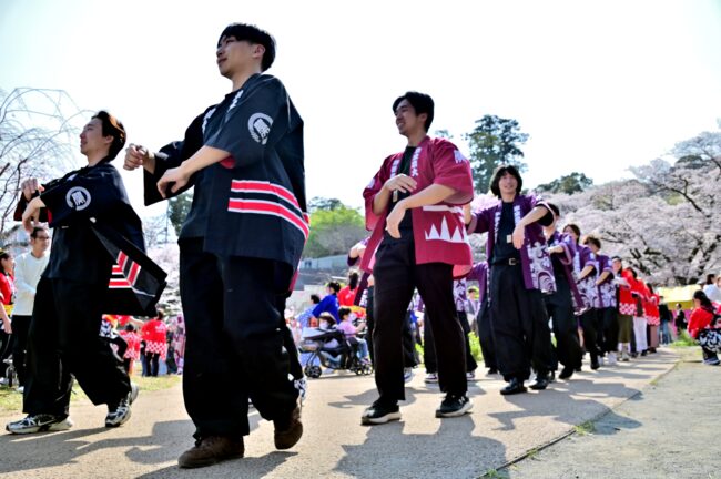 あつぎ飯山桜まつりの花音頭の写真