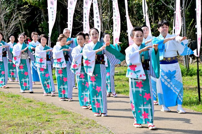 あつぎ飯山桜まつりの花音頭の写真
